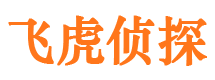 城厢市私家侦探